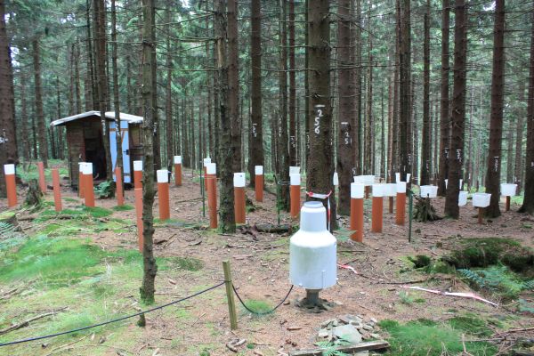 Lange Bramke Intensiv-Monitoringflaeche: Intensiv-Monitoringfläche mit den Erhebungs-bereichen Deposition, Meteorologie, Bodenhydrologie, Bodenzustand, Bodenlösung, Waldzustand, Streufall u.a.m. (Foto H. Meesenburg)